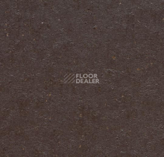 Линолеум Forbo Marmoleum Solid Cocoa 3581-358135 dark chocolate фото 1 | FLOORDEALER